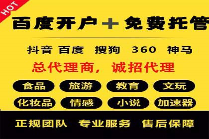 托管竞价sem案例分享：某电商平台的成功之路
